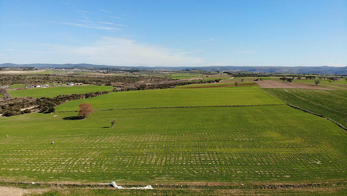 Arsaya yoğun talep! Arsalara talep neden artıyor, hangi bölgeler tercih ediliyor?