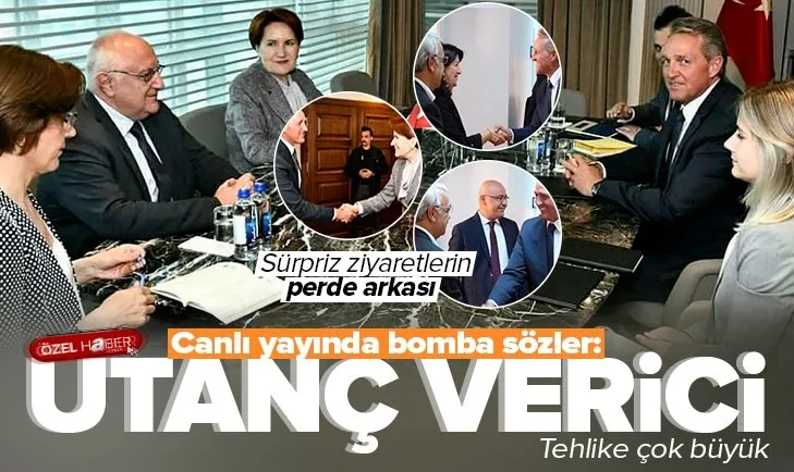 ABD Büyükelçisi Flake’den sürpriz ziyaretler! Neden HDP ve İYİ Parti ile görüştü?