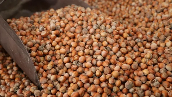 18 Mart 2023 fındık fiyatları bugün ne kadar, kaç TL oldu? Güncel fiyat listesi! Giresun, Ordu, Düzce...