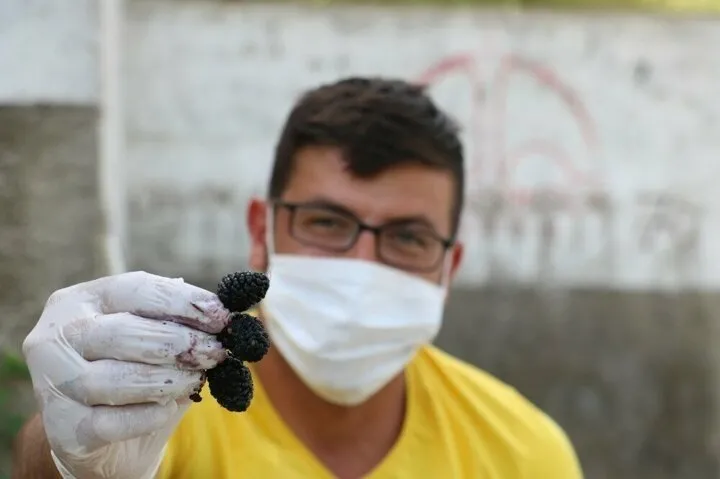 Fiyatı dudak uçuklatıyor! Kanser ve tümör hücrelerine aman vermiyor! Kilosu...