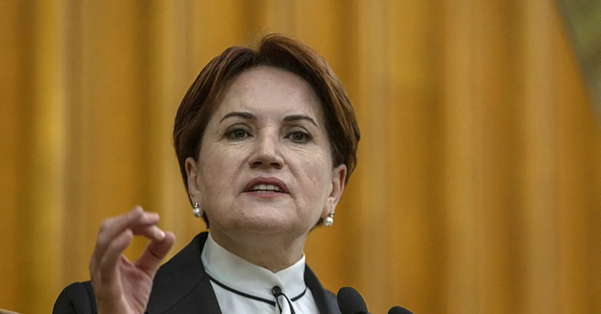 Meral Akşener'den Fırat'ın doğusuna operasyona destek açıklaması | Video izle