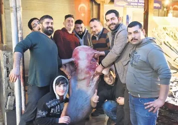 Akdeniz’de 5 metrelik köpek balığı yakalandı