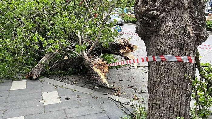 1714208134923.jpg Meteoroloji'den yeni uyarı geldi! Çok sayıda ili sağanak yağış vuracak! İstanbul Ankara İzmir hava durumu... - 3
