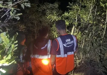 Hakkari’de orman yangını! AFAD gönüllüleri destek verdi: Büyümeden söndürüldü