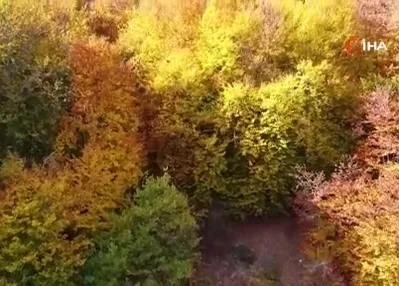 Şebek Geçidi’nde sonbahar güzelli