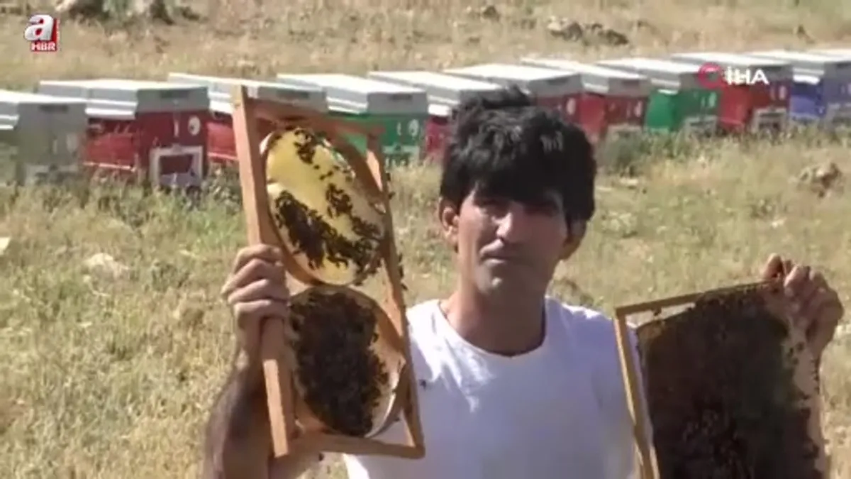 Siirtli arıcının arılarla kurduğu bağ görenleri şaşırtıyor