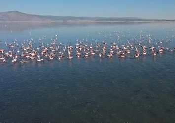 Acıgöl flamingolarla bir başka güzel