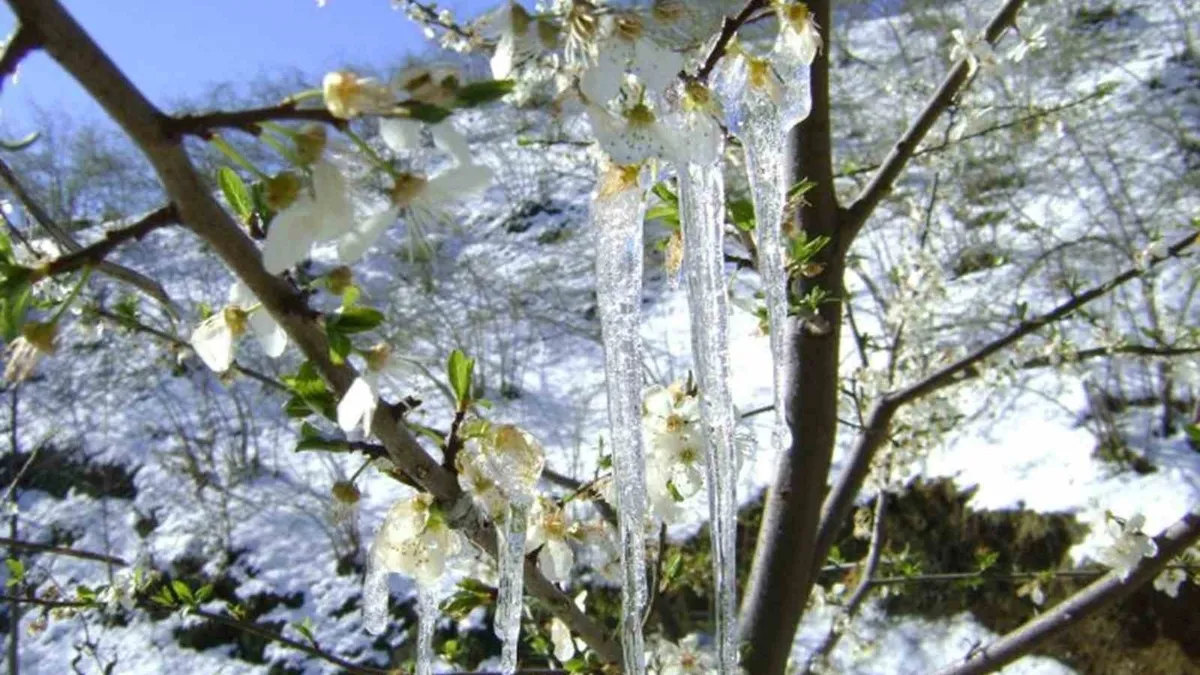 Muğla'ya yağmur sonrası soğuk hava uyarısı