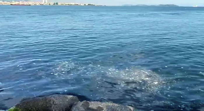 İstanbul Boğazında çöp tehdidi! Vatandaşlar İBB'ye isyan etti - 2