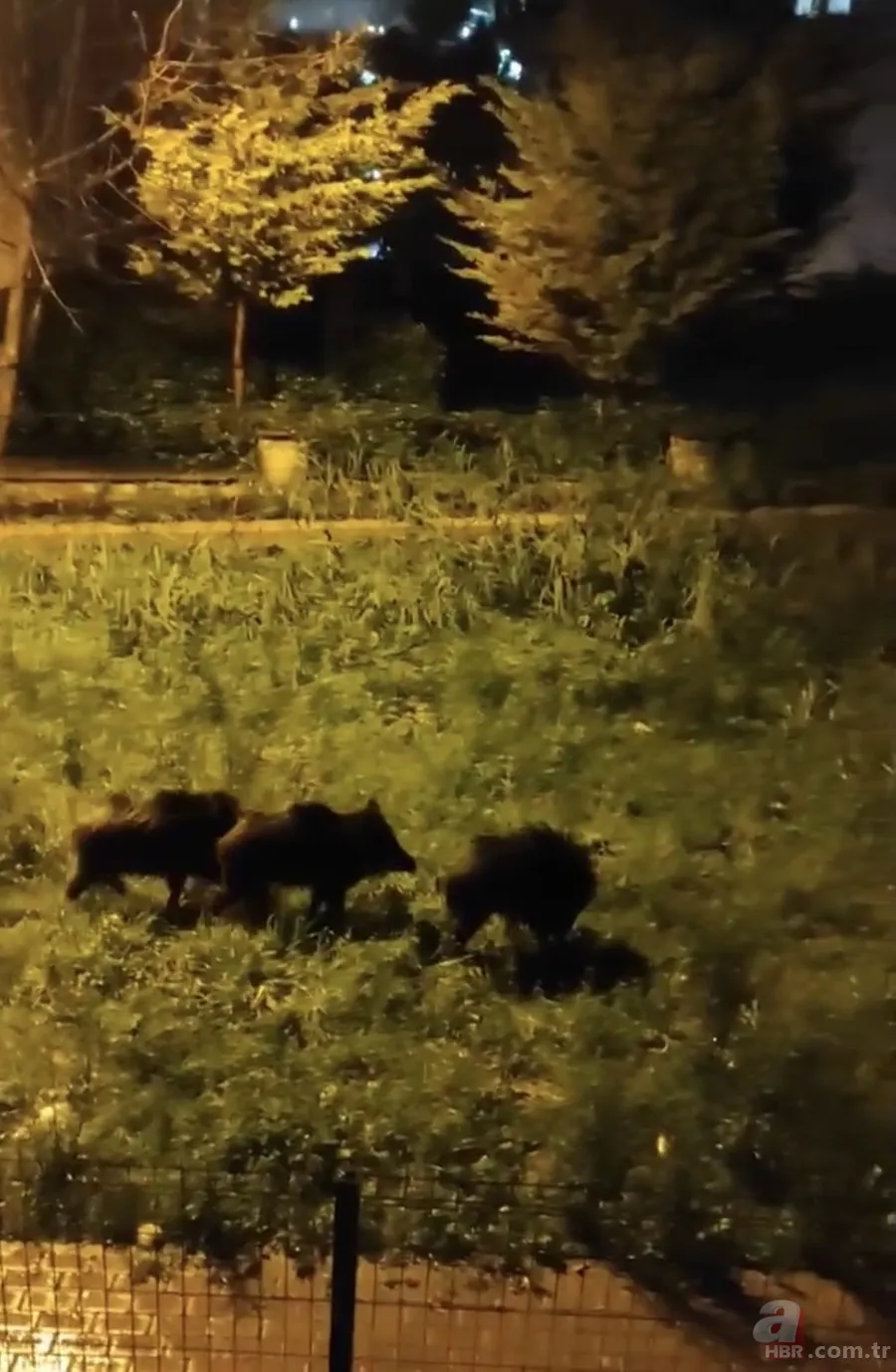 Bursa'da dağlara kar yağınca şehre indiler 4