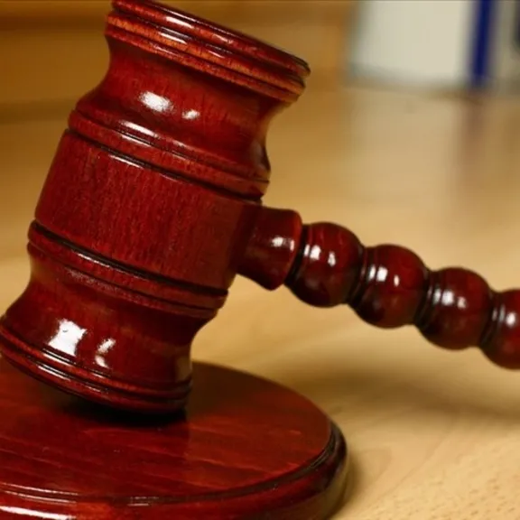 T.C. ERZİN 2. ASLİYE CEZA MAHKEMESİ