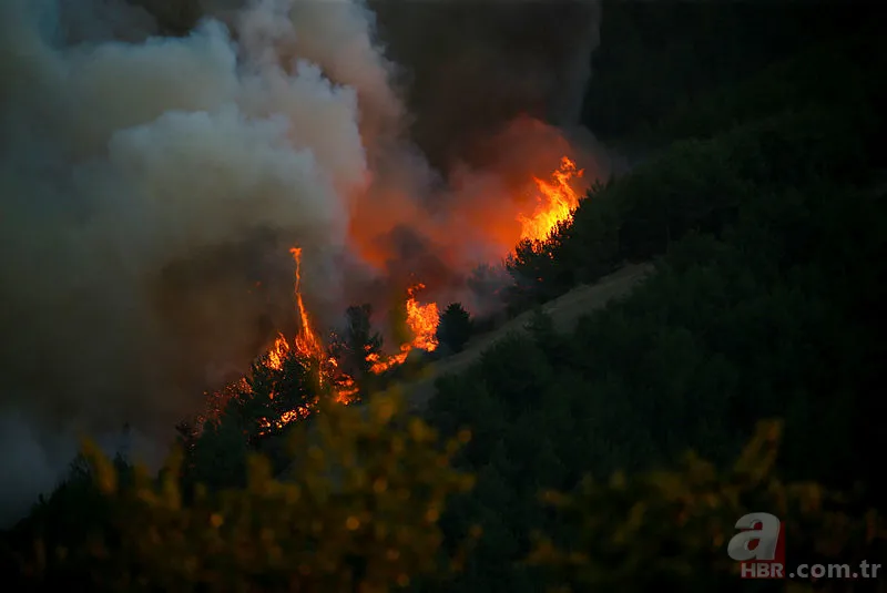 İzmir orman yangını son durum | İzmir yangın son dakika söndürüldü mü? 12