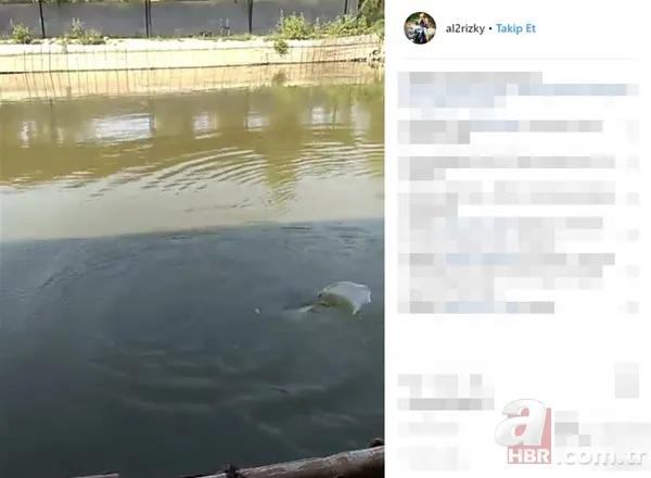 Öyle bir şey tuttu ki... Tam 27 kilo! Bakın ne yaptı? 14