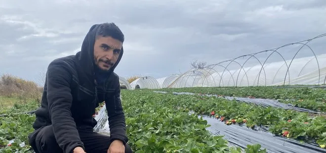 Antalyalı seracı hayatının şokunu yaşadı! Fırtına söküp attı