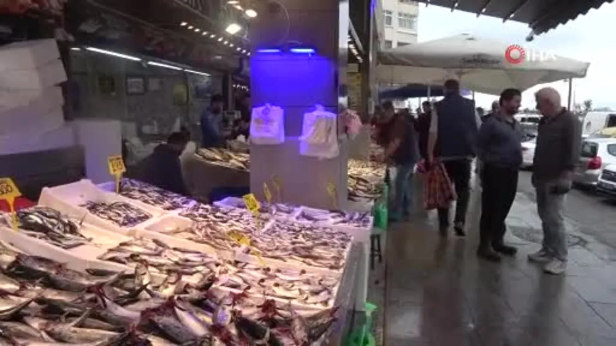 Hamsi palamudu ihracatta solladı