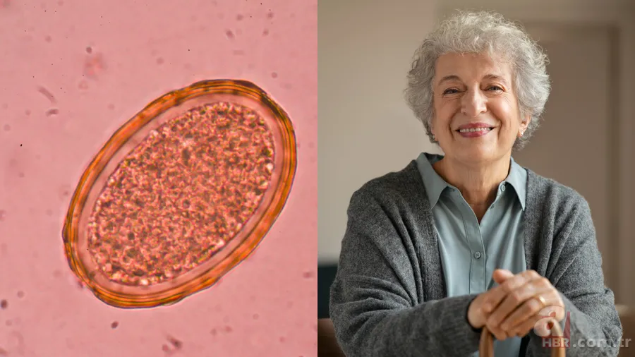 Uzun yaşamın anahtarı bulundu mu? İşte 100 yaşını görmenin bilimsel şifresi 1