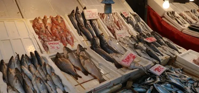Deniz kirliliği balıklarda ağır metal riski oluşturdu