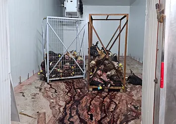 Bursa’da mide bulandıran görüntüler!