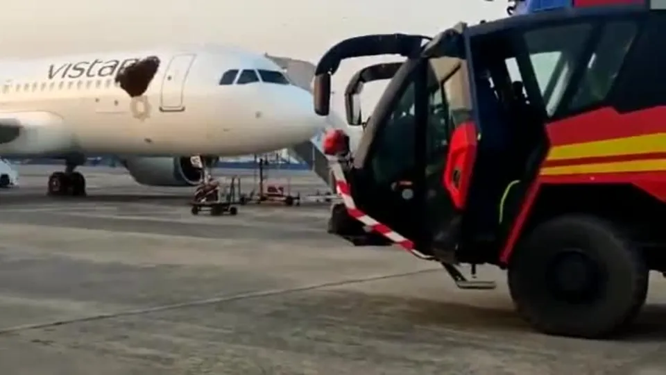 Uçakta davetsiz misafirler! İstila ettiler