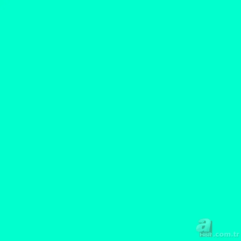 Sadece 5 kişi görebiliyor! Bilim insanları açıkladı: Yeni keşfedilen rengin sırrı ne? 3