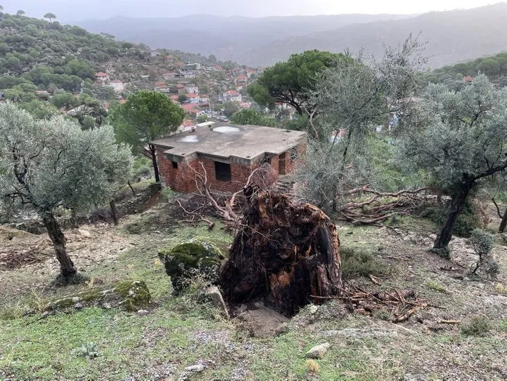 Aydın felaketi yaşadı! Selde 3 kişi can verdi! Dehşete düşüren kareler