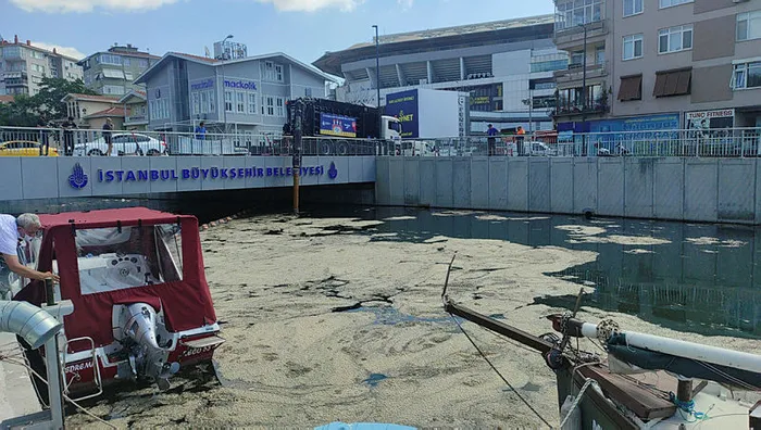 Çevre ve Şehircilik Bakanı Murat Kurum'dan müsilaj açıklaması: Önümüzdeki 1,5-2 yıl içinde... - 9