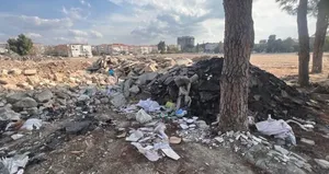 Yeşil alandan İzmir çöplüğüne!