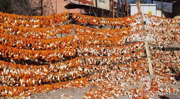 Türkiye'de pek bilen yok ama Avrupa kapış kapış alıyor! Ne olduğunu gören şaşkına dönüyor: Kozmetik ve ilaç sanayisinin gözdesi 4