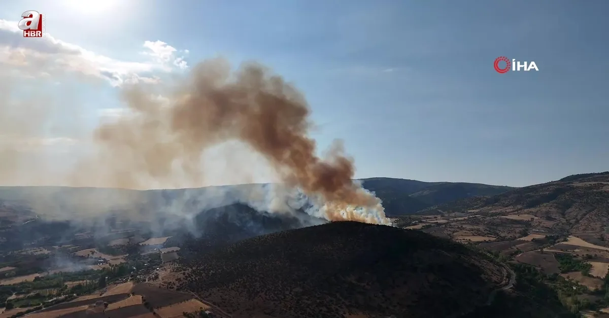 Tokat Zile’de ağaçlık alanda yangın