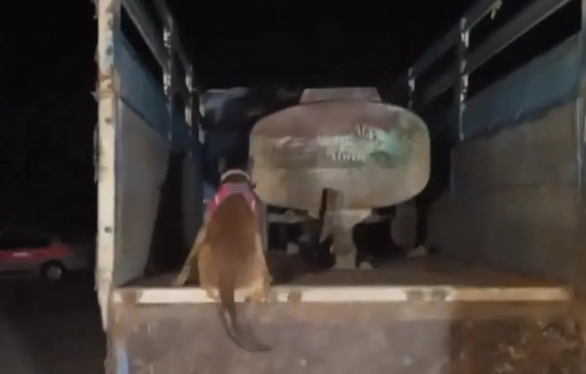 Zehir tacirlerine operasyon! 2 ton 149 kg uyuşturucu madde ele geçirildi