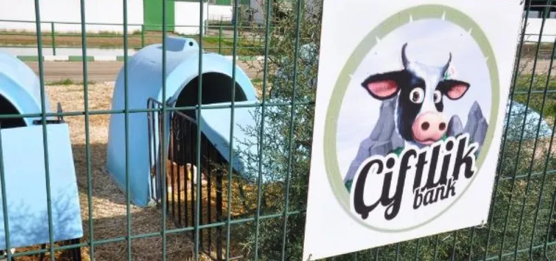 Çiftlik Bank ile ilgili bomba detay
