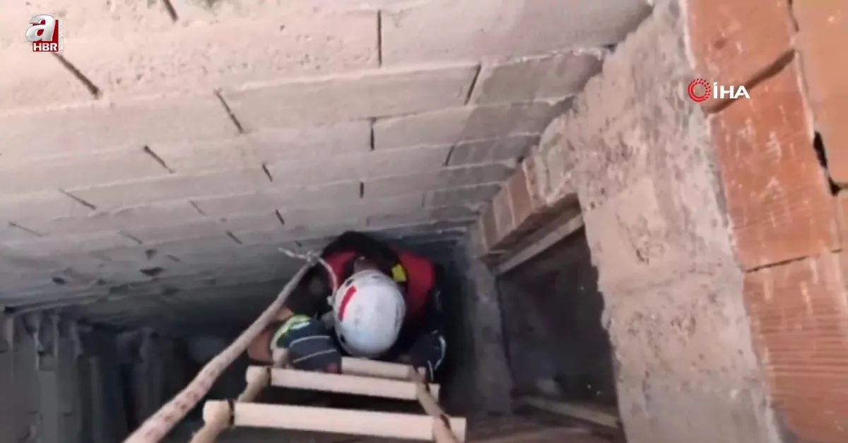 İtfaiyeden kedi kurtarma operasyonu