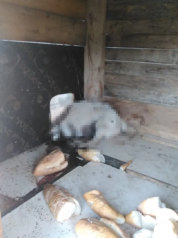 balikesirde-ciftlikte-dehset-2-kopegi-tufekle-katlettiler-2-kopegi-de-zehirlediler-1662704724976.jpg Balıkesir’de çiftlikte dehşet! 2 köpeği vurdular 2’sini zehirlediler - 6