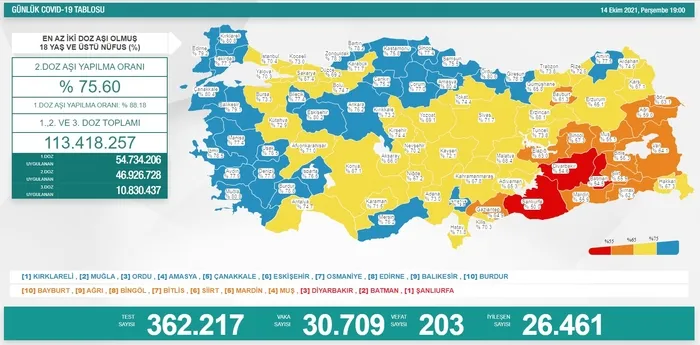 SON DAKİKA | Sağlık Bakanlığı vaka ve vefat tablosu (15 Ekim 2021) - 3