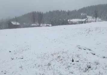 Ordu'nun yüksek kesimlerine kar yağdı
