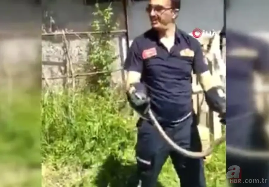 Kastamonu’da itfaiye ekiplerinin 2 metrelik yılanla imtihanı kamerada🐍 8