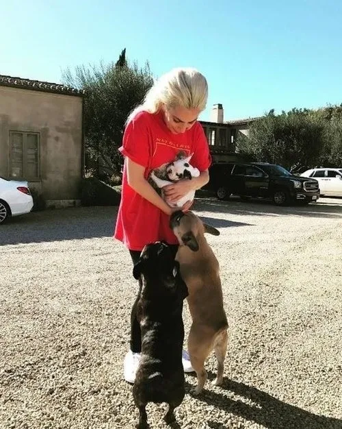 Lady Gaga'dan hırsızlara 500 bin dolar teklif - 4