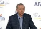 Erdoğan: 14 Mayıs’ta 7’linin raf ömrü dolacaktır
