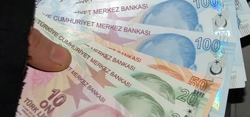 Türk lirasının yıldızı parlıyor