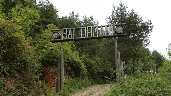 bakanliktan-orman-koylulerine-765-milyon-tl-destek-81-bin-kisiye-istihdam-kapisi-1644301048028.jpg Bakanlıktan orman köylülerine 765 milyon TL destek: 81 bin kişiye istihdam kapısı - 4