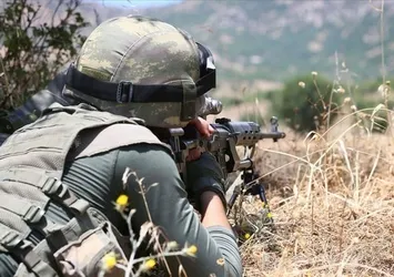 Muş'ta 3 terörist etkisiz hale getirildi