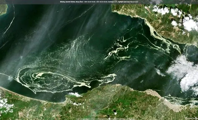 Son dakika | Marmara Denizi’nde alarm! Maviliği baştan sona sardı! Uydu görüntüsü ortaya çıktı
