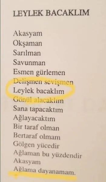 Muharrem İnce erotik şiir kitabı için bakın ne dedi! - 1