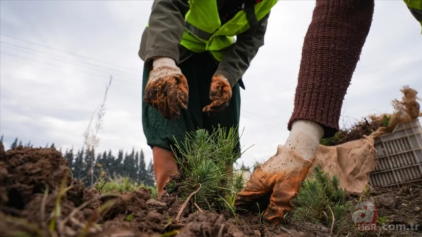 8500 işçi alımı başvuru ekranı açıldı mı? Tarım ve Orman Bakanlığı 8500 personel alımına kimler başvurabilir, şartlar neler? 3