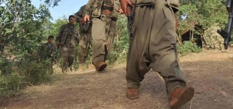 YPG/PKK sol terör örgütlerinin de hamisi oldu