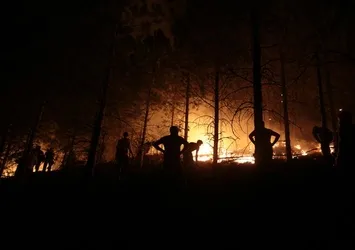Yangın için sosyal medyada organize oldular