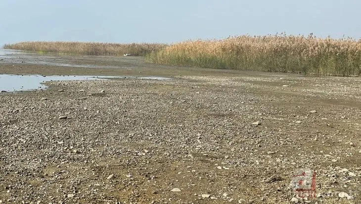 İznik Gölü’ndeki tehlike korkutuyor! Çekilme 200 metreye dayandı