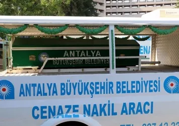 Antalya'da budadığı ağaçtan düşen kişi öldü