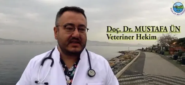 CHP’li İBB’deki at skandalında flaş gelişme! Kayıp atlara ne verildi?