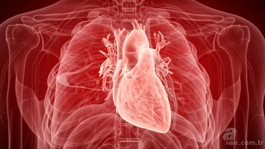Aort damarı yırtıldığında ne olur? Aort damarı yırtılması nedir, neden olur? Belirtileri ve tedavi yöntemleri 6